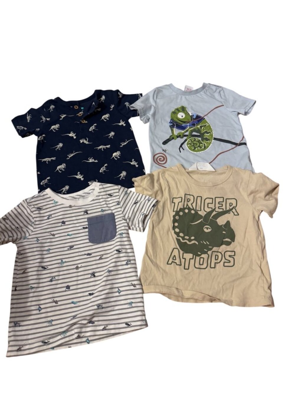 Toddler Boy 2T Graphic Tee Bundle | Dinosaur Animal Lizard Shirts | H&M Tommy